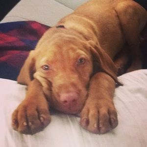 Meet your Posher, Jessica